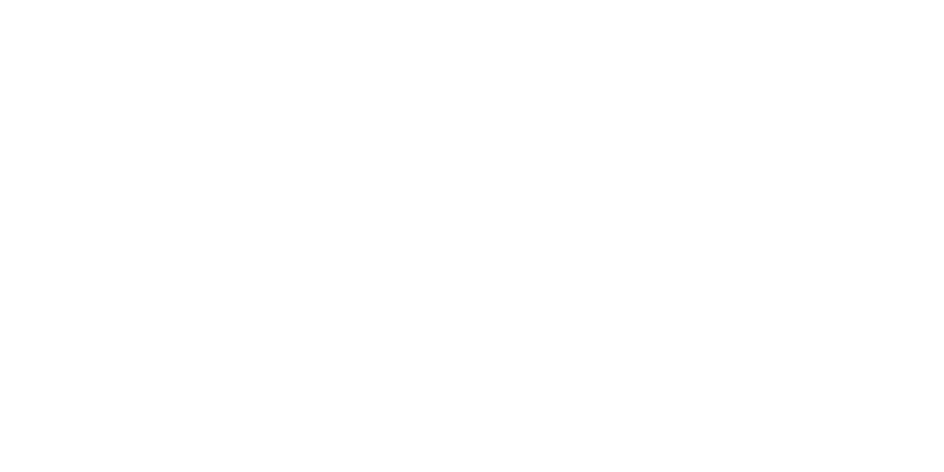 Logo de Servicios Trapoist